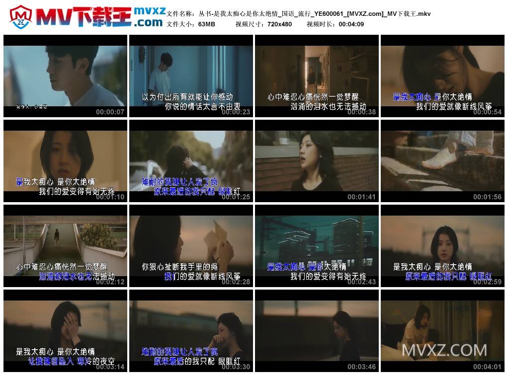 丛书-是我太痴心是你太绝情_国语_流行_YE600061